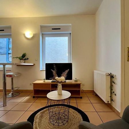 Le studio Théolier Apartamento Tournon-sur-Rhone Exterior foto