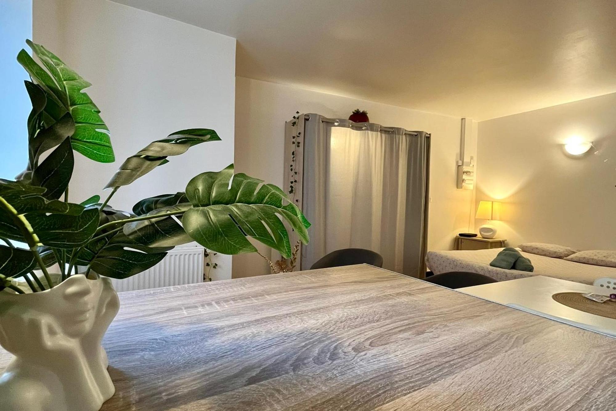Le studio Théolier Apartamento Tournon-sur-Rhone Exterior foto